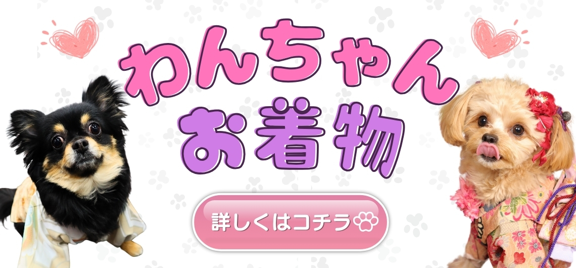 わんちゃんお着物　詳しくはこちら