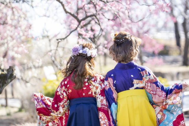 桜の下で袴姿の女性2人の後ろ姿